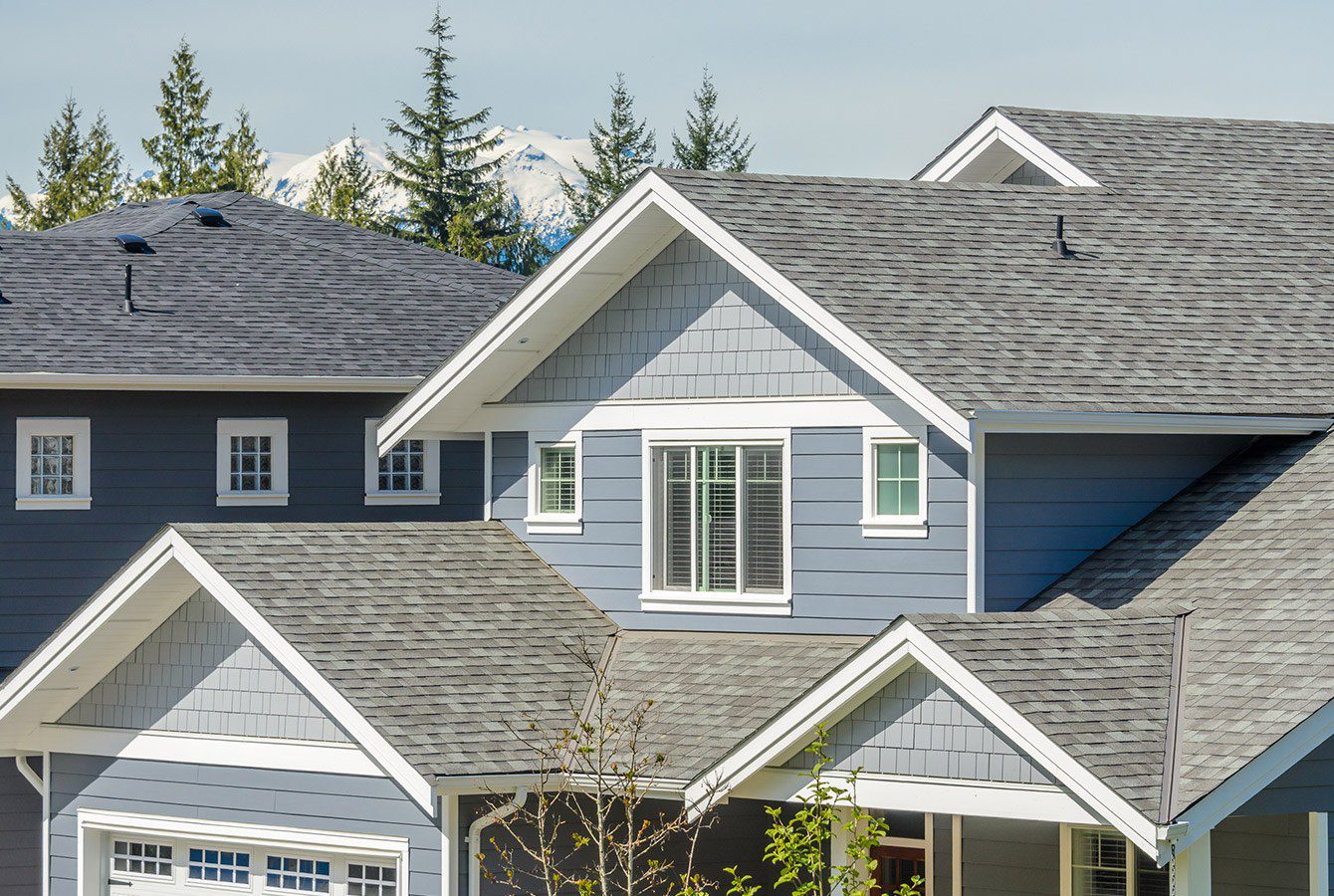 Roofing and exterior service